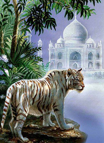 белый тигр - кошки, хищники - оригинал