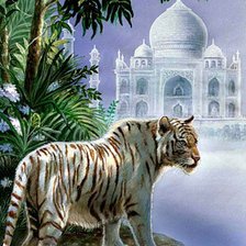 Оригинал схемы вышивки «белый тигр» (№119000)