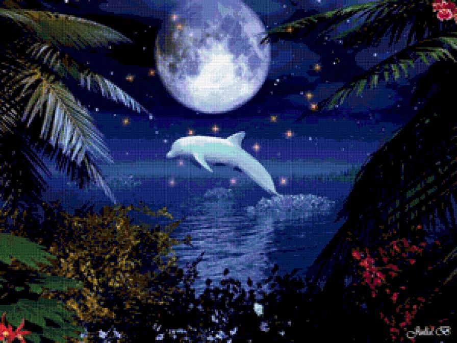 дельфин в ночи - вода, рыбы, море, ночь - предпросмотр