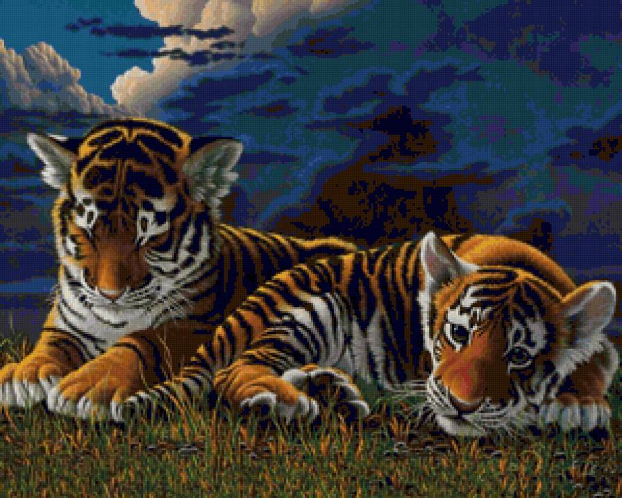 тигрята - кошки, хищники, малыш - предпросмотр