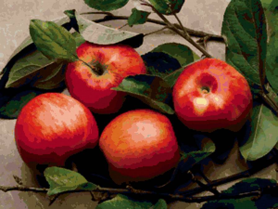Яблоки - яблоки, фрукты - предпросмотр