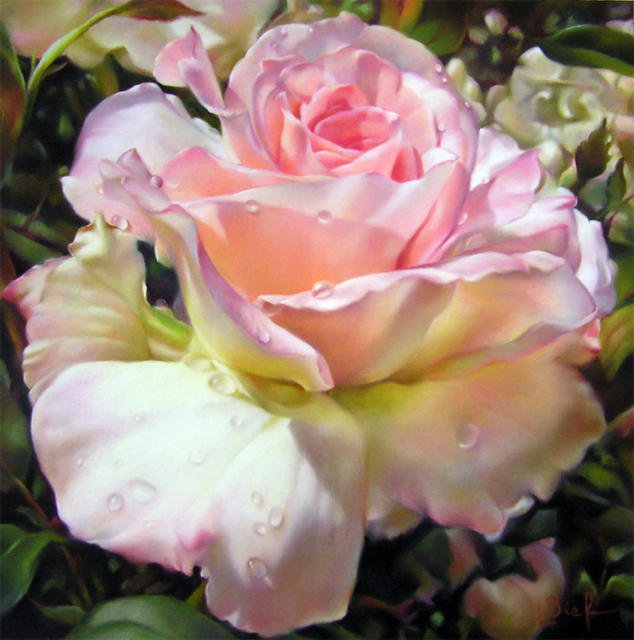 Бутон розы - роза, цветы - оригинал