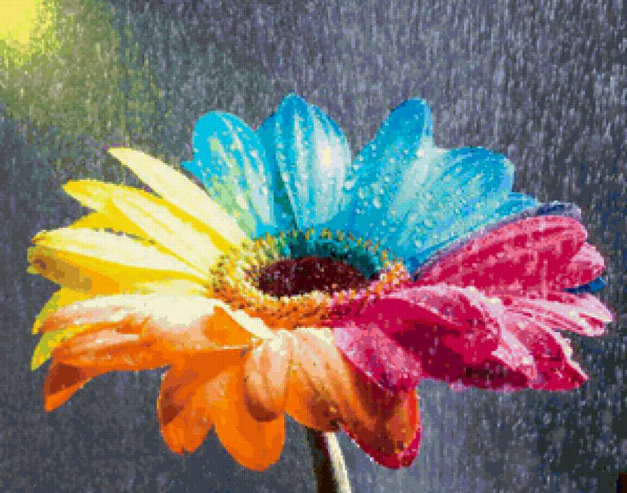 цветик-семицветик - настроение, цветы, радуга - предпросмотр