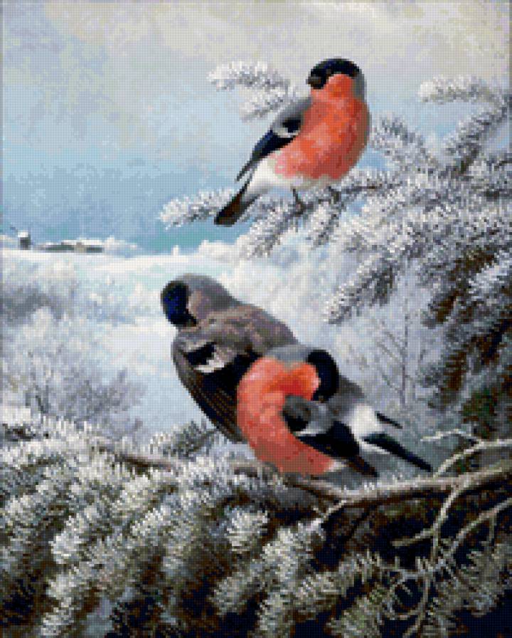 Снегири - птицы, живопись, пейзаж - предпросмотр