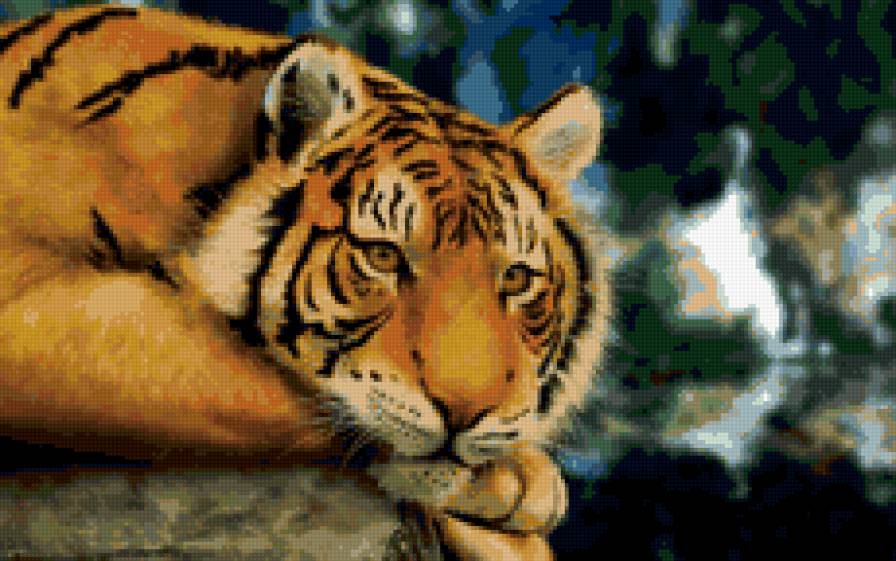 Тигр на отдыхе - полосатое, кошка, тигр, животные - предпросмотр