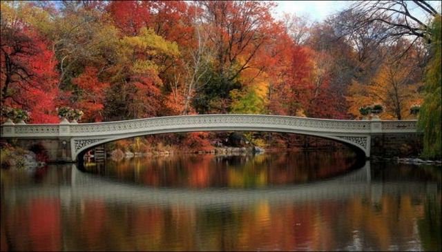 осень - осень, вода, время года, река, мост - оригинал