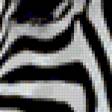 Предпросмотр схемы вышивки «Две зебры» (№120969)