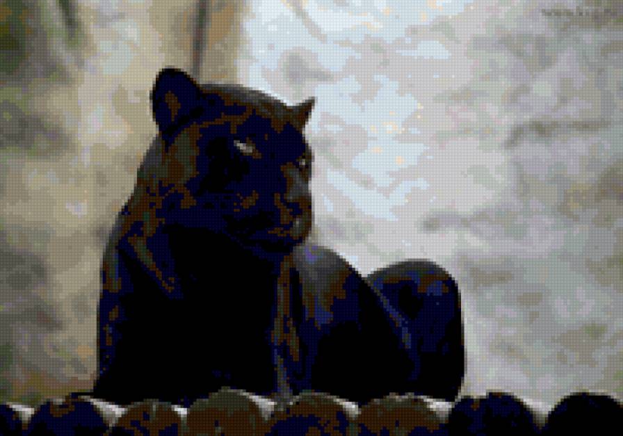 чорна пантера - покорность, , желание, кошка, спокойствие - предпросмотр