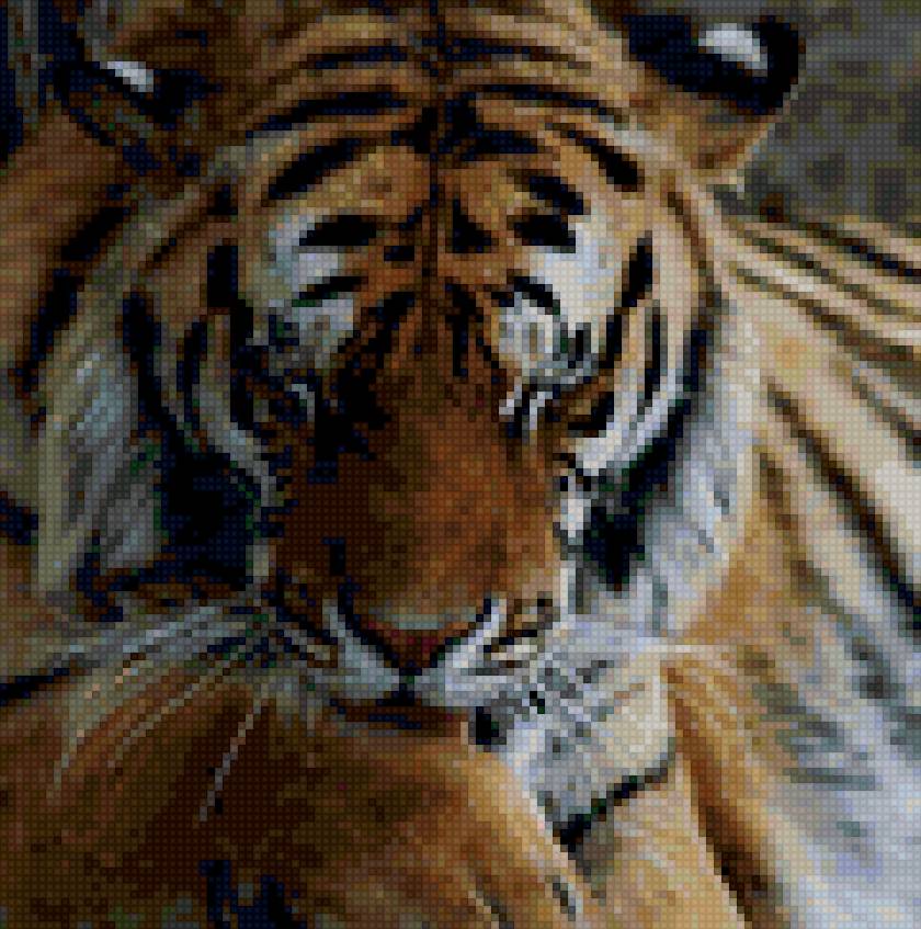 Тигр - предпросмотр