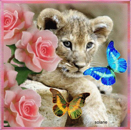 Львенок - животные, цветы, лев, живопись, бабочки - оригинал