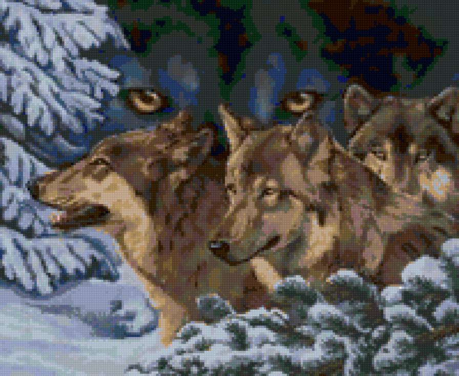 волчий взгляд - в лесу, волки, животные - предпросмотр