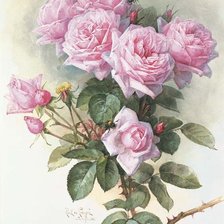 Оригинал схемы вышивки «Розовые розы» (№121438)