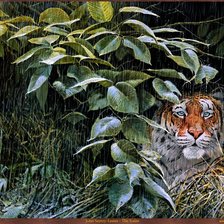 Схема вышивки «тигр в засаде»