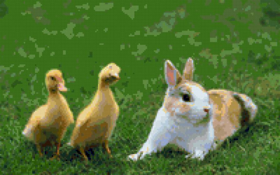 Гусята и кролик) - предпросмотр