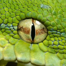 Схема вышивки «Глаз змеи»
