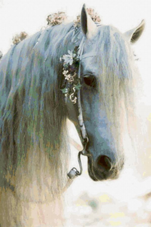 лошадь - белый, романтика, нежность, конь, лошадь, цветы - предпросмотр