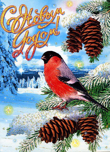 Снегирь на еловой ветке - снегирь, открытка, новый год, новогодняя, елка, шишки, птицы - оригинал
