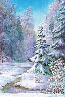 Зимняя сказка - зима, природа, закат, ели, лес, иней, зимняя картина, пейзаж - оригинал