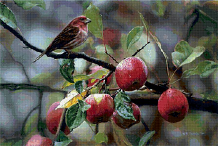№122381 - пейзаж, яблоки, птицы - предпросмотр