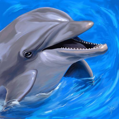 дельфин - оригинал