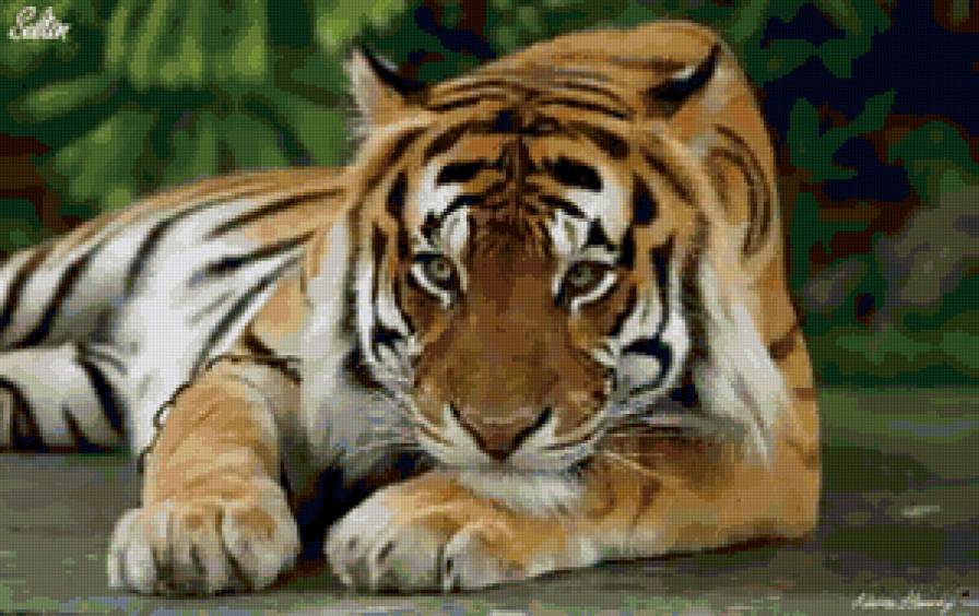 Тигр - кошки, тигры, животные - предпросмотр