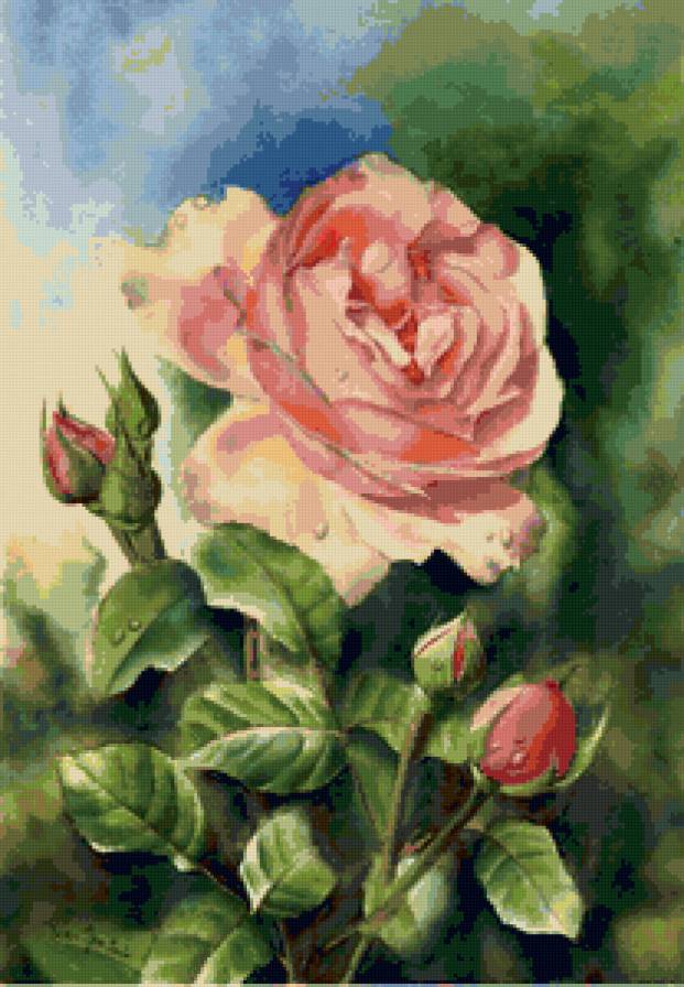 Красивая роза - роза, цветок, подушка - предпросмотр