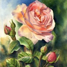 Оригинал схемы вышивки «Красивая роза» (№123017)