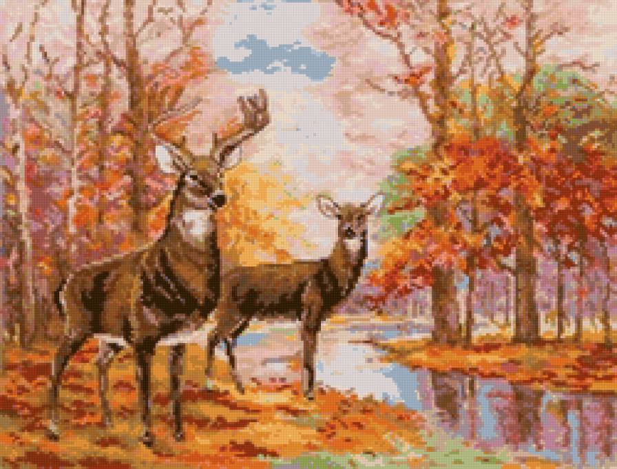 осень - осень в лесу, животные, лес - предпросмотр