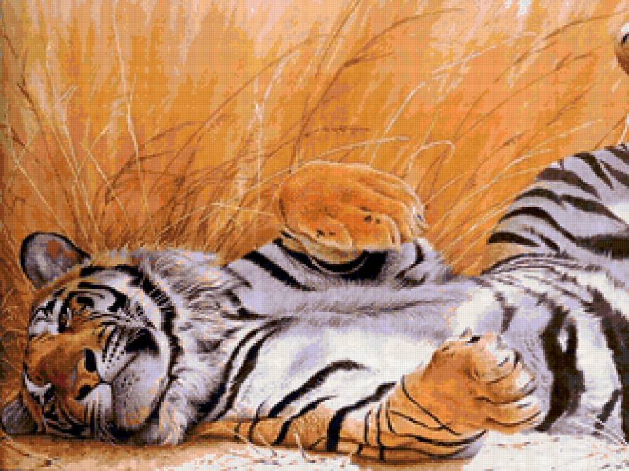 тигр - тигр - предпросмотр