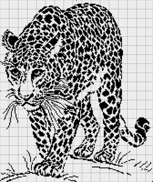 леопард - кошки, черно-белое - оригинал