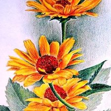 Оригинал схемы вышивки «Жёлтые цветы» (№124018)