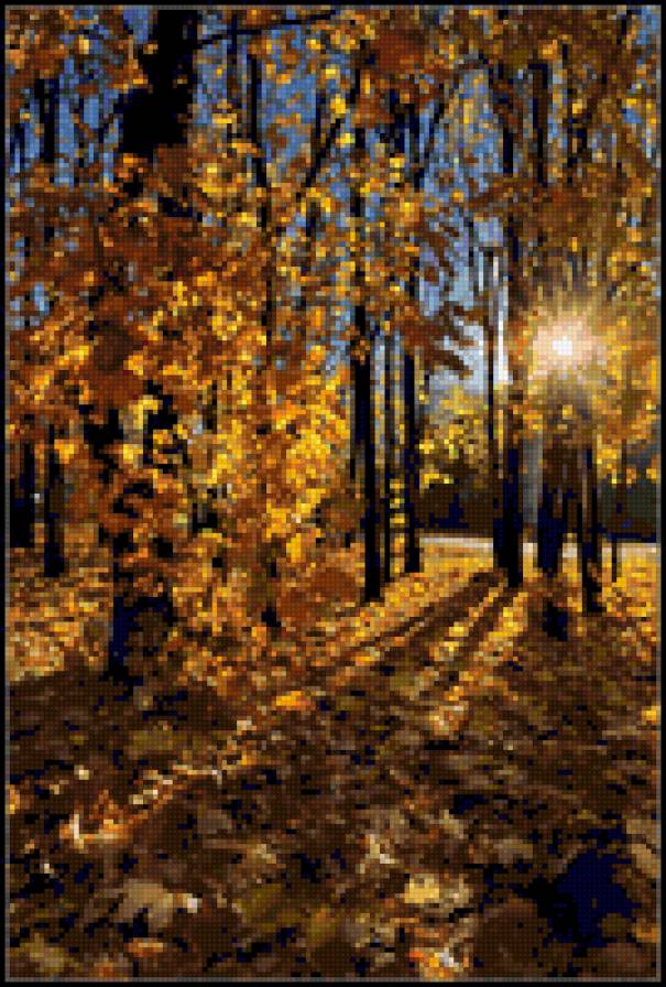 осень - деревя, пейзаж, золотая осень - предпросмотр