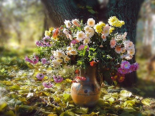 цветы в вазоне - букет, цветы, натюрморт - оригинал