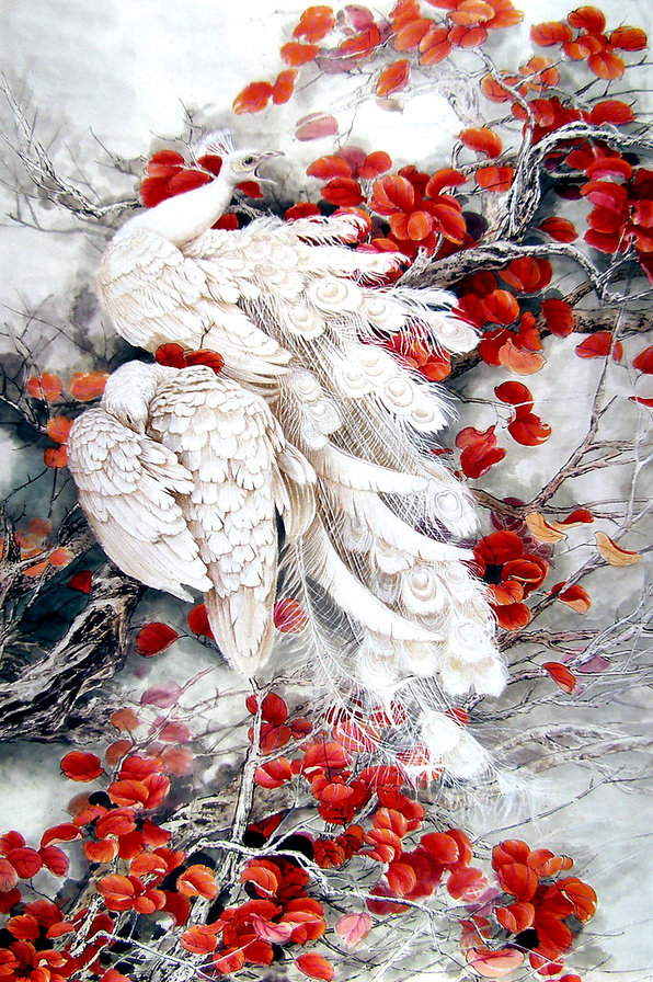 Белый павлин - павлин, китайская живопись, птицы - оригинал