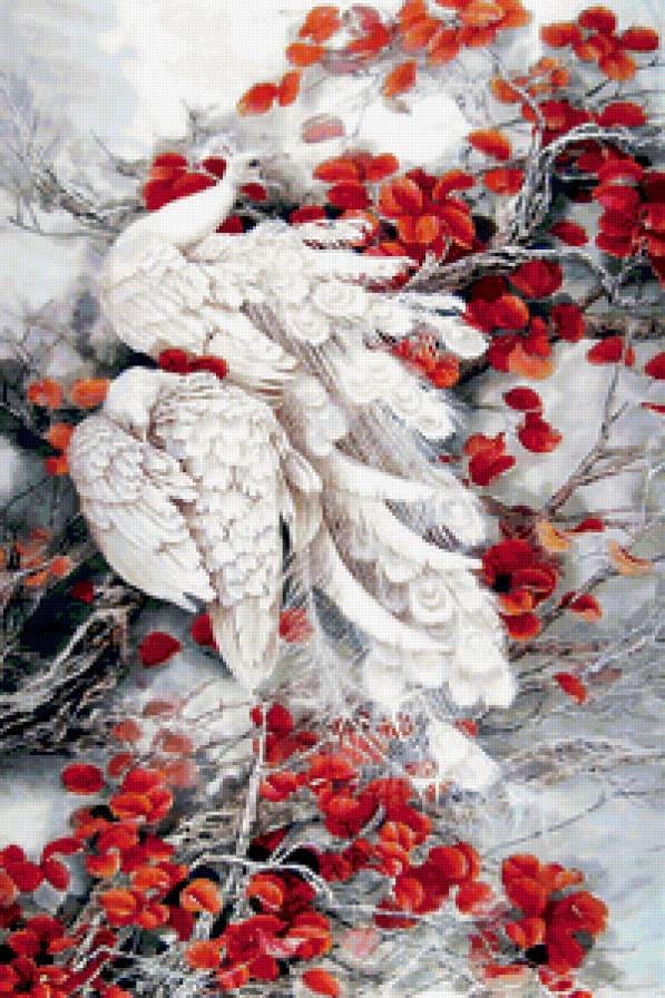 Белый павлин - китайская живопись, птицы, павлин - предпросмотр