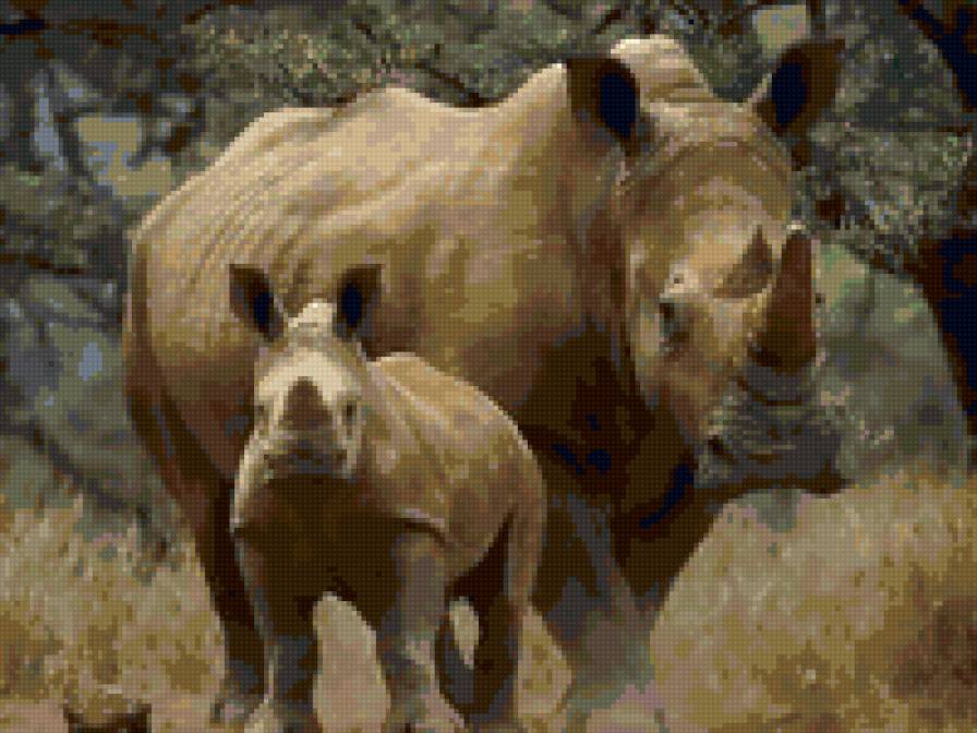 носорог 2 - предпросмотр