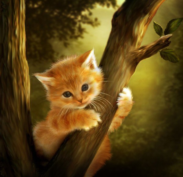 котенок на дереве - кошки - оригинал