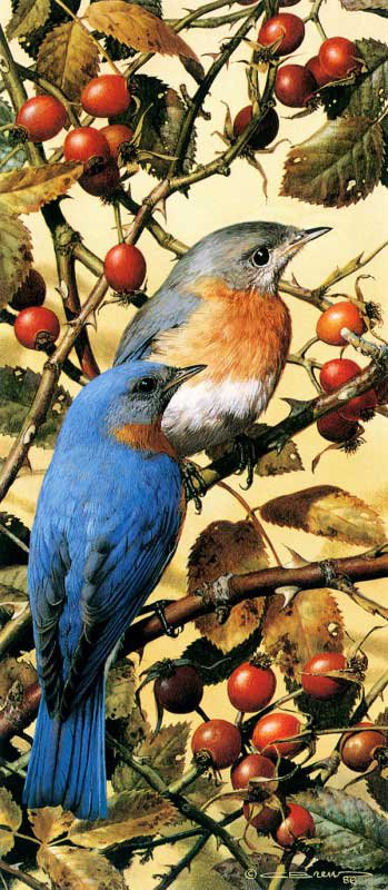 Птички на ветке - птица, живопись, картина, животные - оригинал