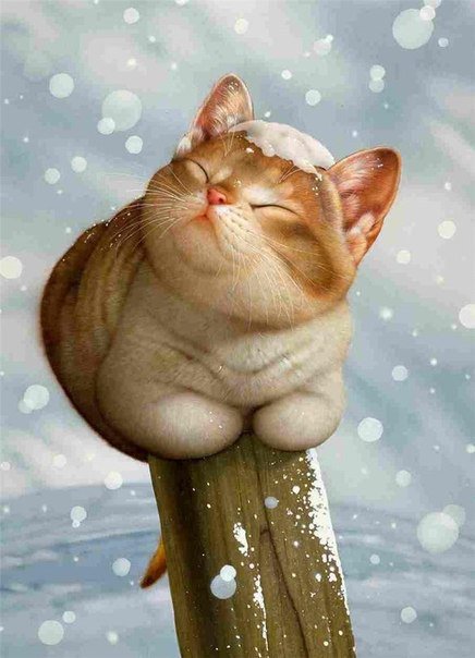 Кот и снег - вышивка - оригинал