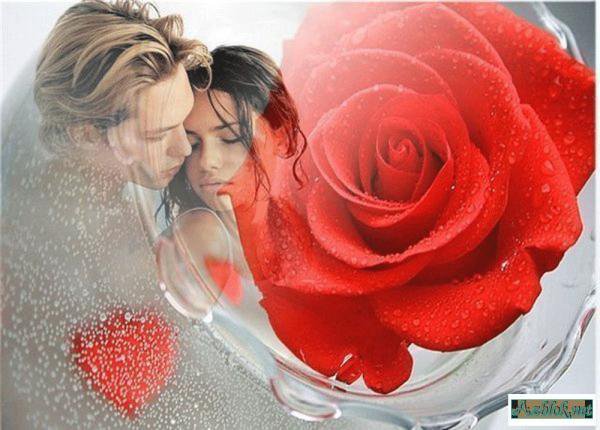 Любовь (открытка) - открытка, пара, любовь, романтика, роза - оригинал