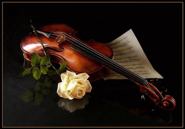 Мелодия любви - романтика, скрипка, роза - оригинал