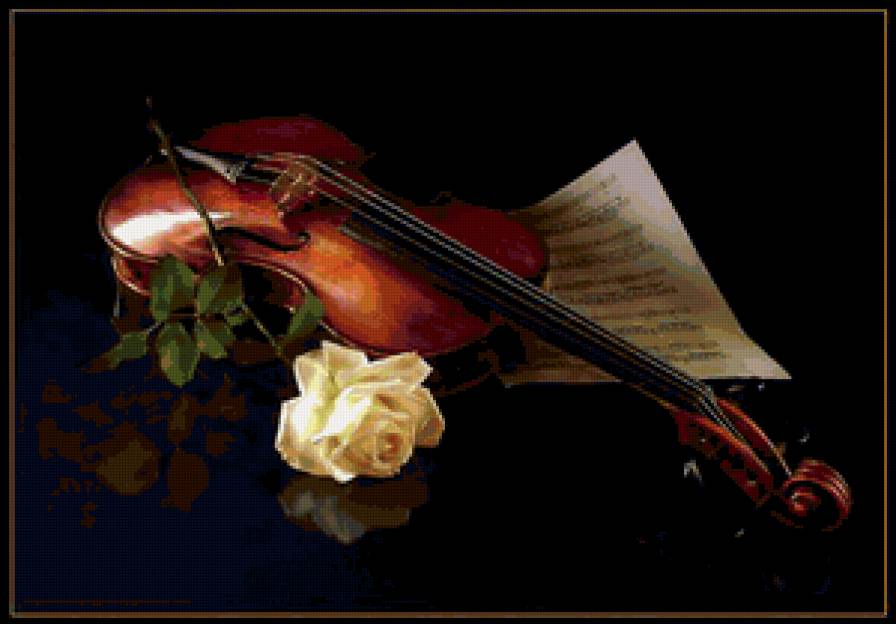 Мелодия любви - скрипка, роза, романтика - предпросмотр