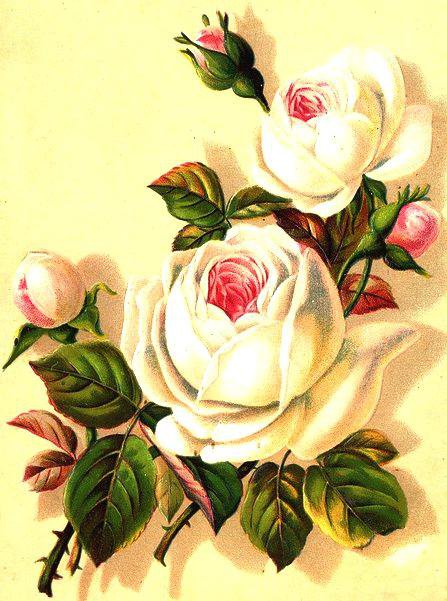 розы - букет, розы, картина, цветы - оригинал