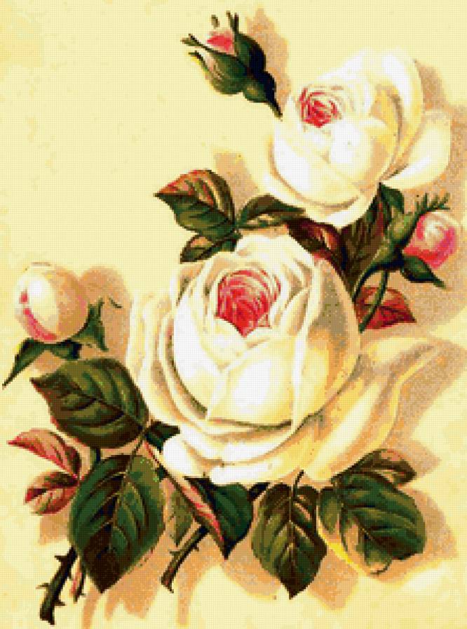 розы - картина, букет, цветы, розы - предпросмотр