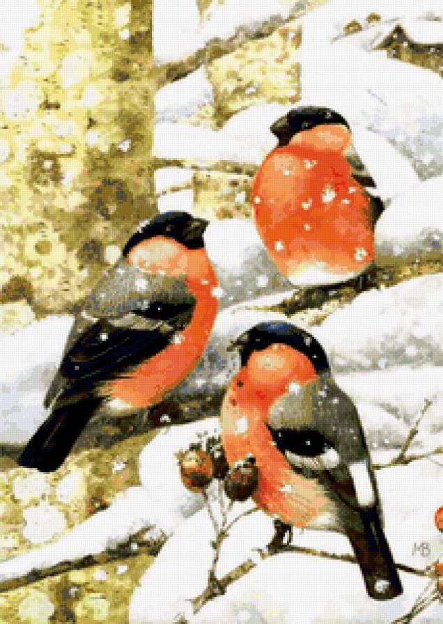 снегири - птицы, зима, снегири, картина - предпросмотр