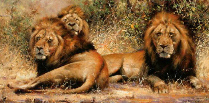 Три брата - животные, саванна, львы, африка, природа, большие кошки - оригинал