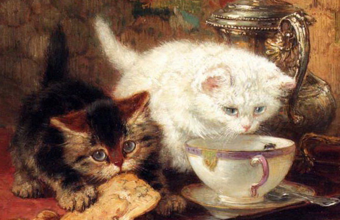 Кошачье чаепитие - котята, картина, животные - оригинал