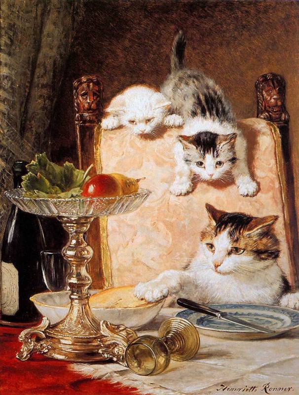 котята - котята, картина, животные - оригинал