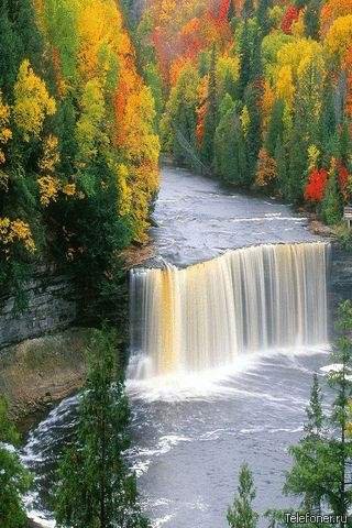 Осенний водопад - лес, вода, водопад, осень - оригинал