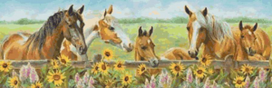 Лошади - цветы, природа, лошадь, жеребенок, животные - предпросмотр